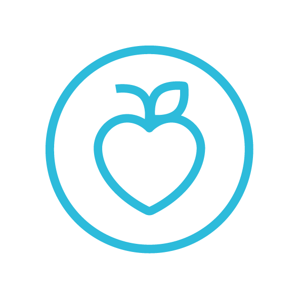 Transport Management / Distributie